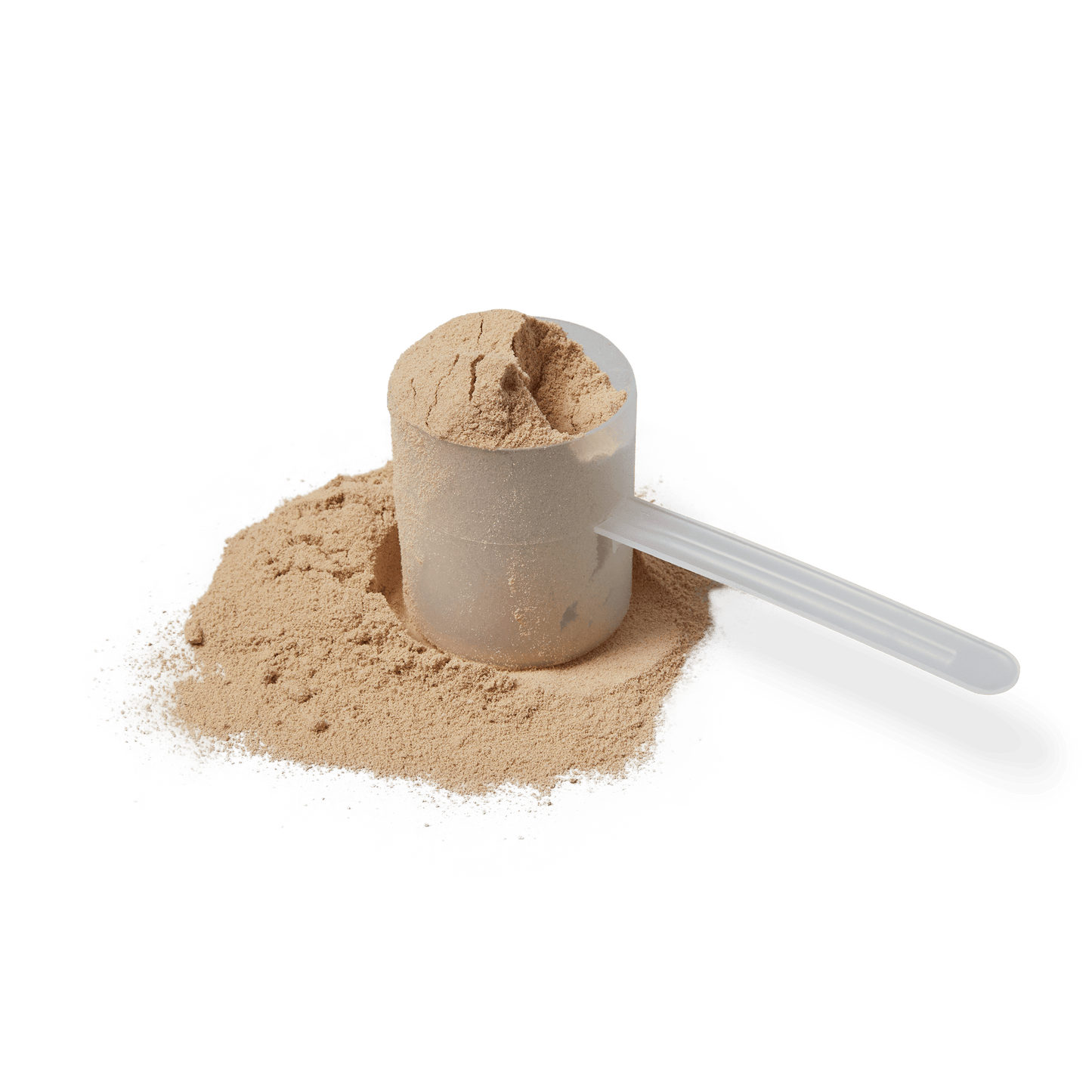 Whey Isolate Protein (31+ Servings)