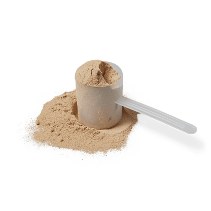 Whey Isolate Protein (31+ Servings)
